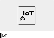 IoT